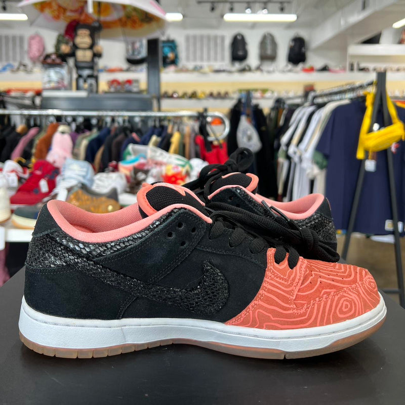 SB Dunk Low Premier Fish Ladder (2015)