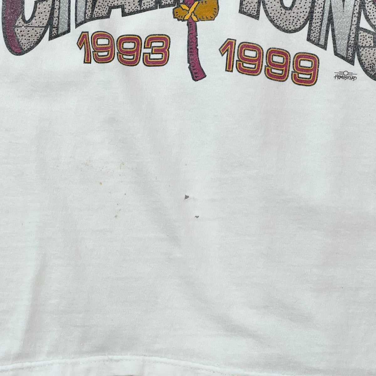 Florida State National Champions Tee