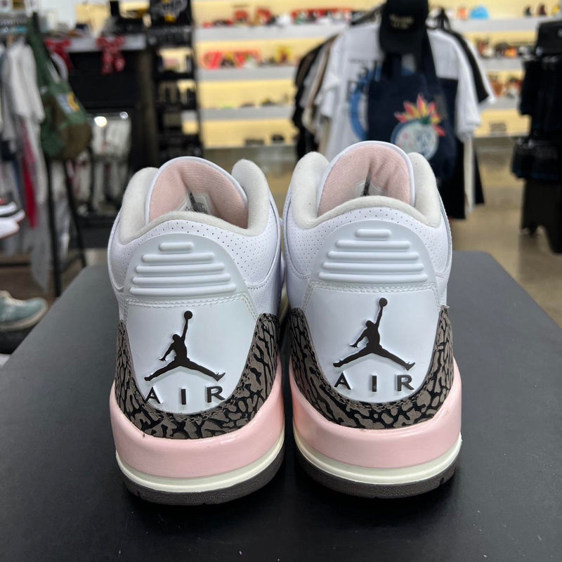 Air Jordan 3 Neapolitan