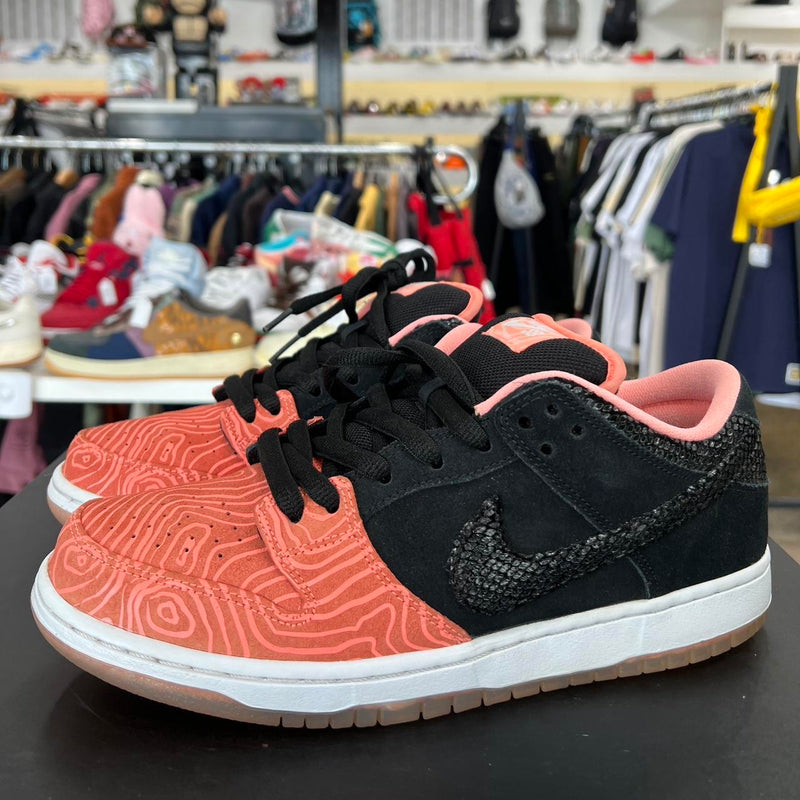 SB Dunk Low Premier Fish Ladder (2015)