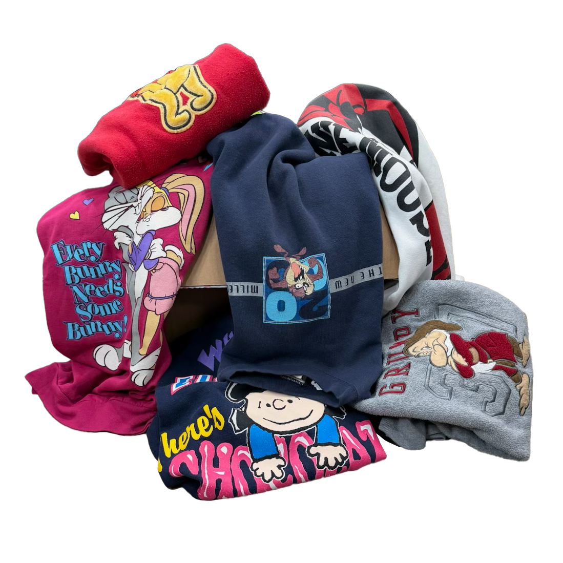 Disney/Cartoon Mystery Hoodie/Crewneck Bundle