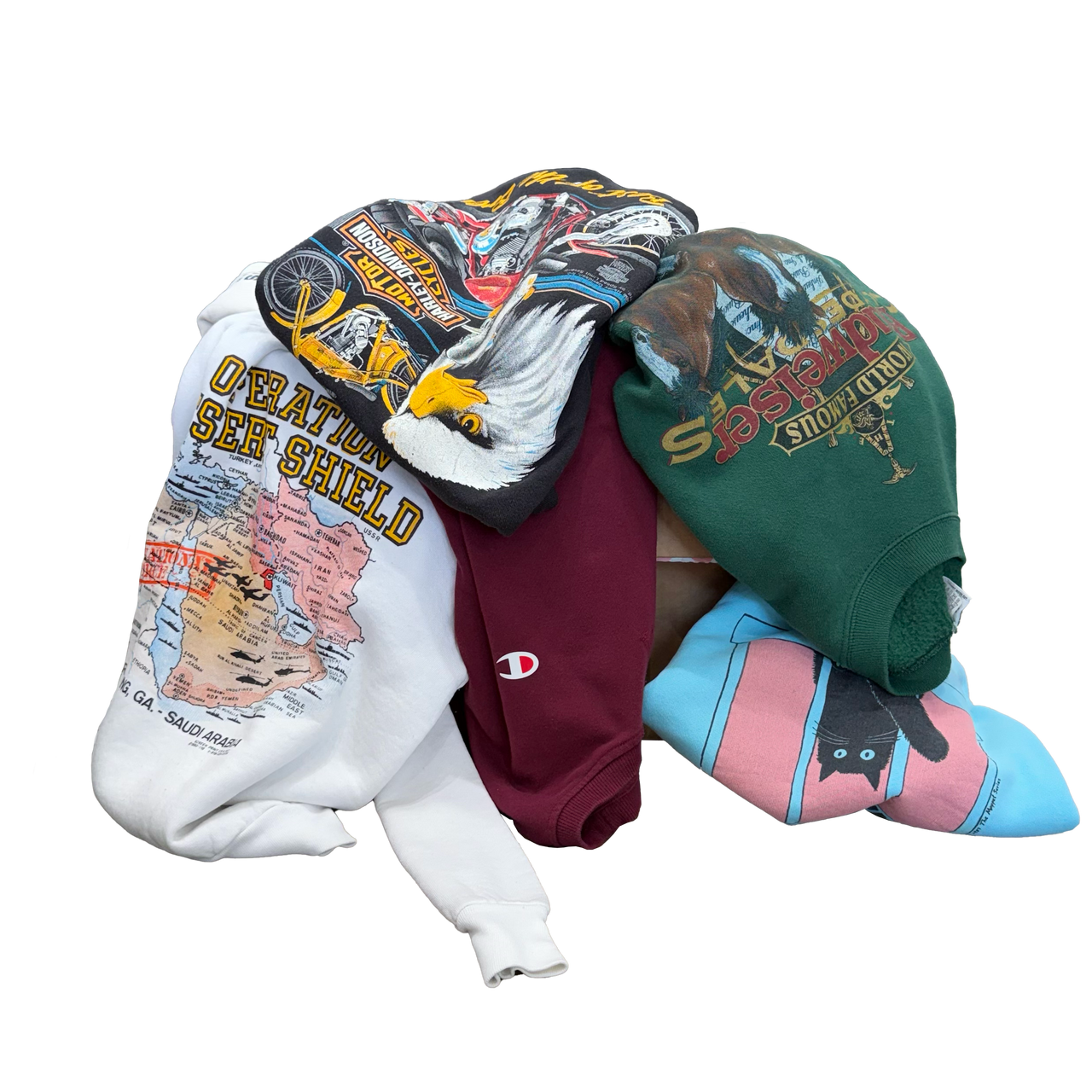 Miscellaneous Mystery Hoodie/Crewneck Bundle