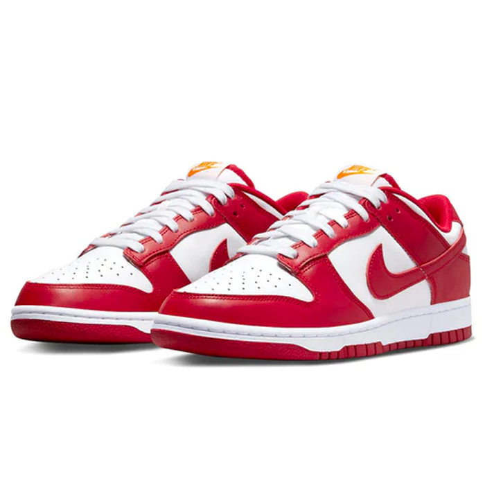 Dunk Low USC